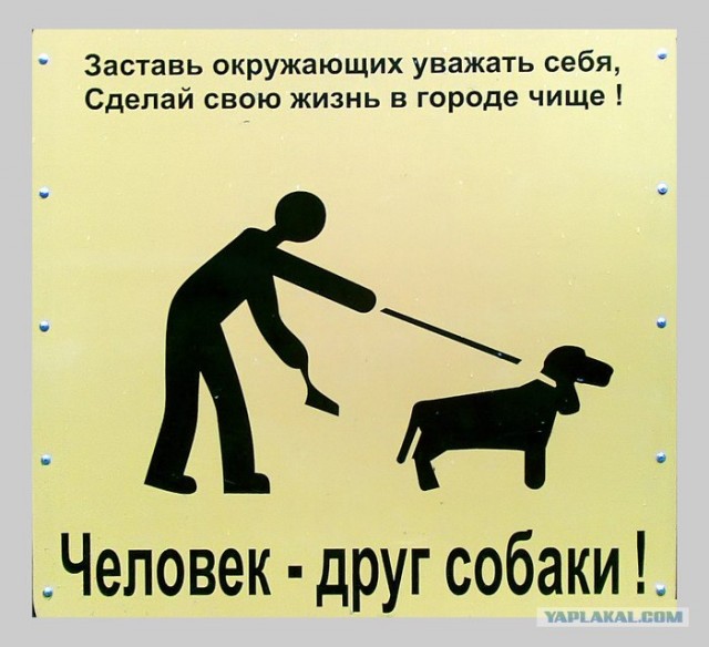 Фотожаба: Собака друг человека