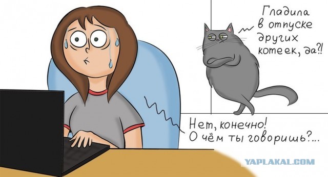 Коты узнали, что хозяйка гладит кого то на стороне