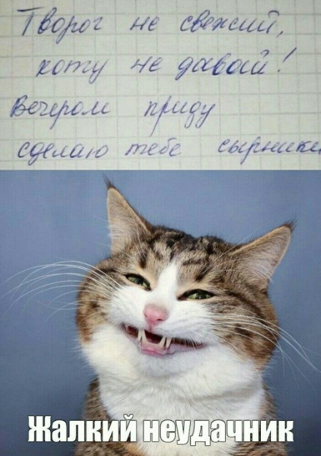 Счастливый неудачник