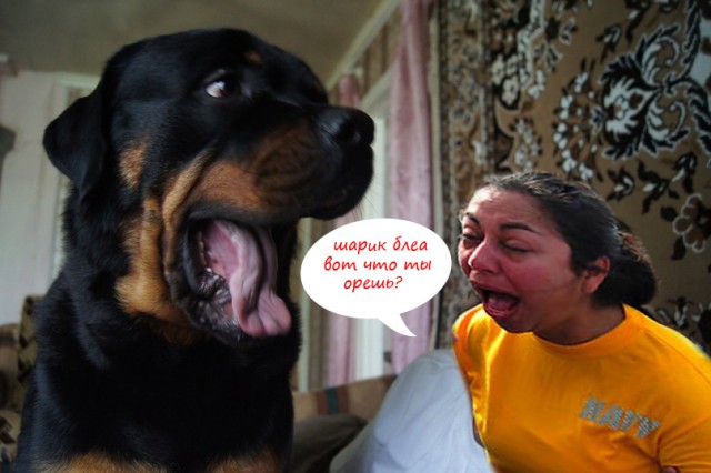 Фотожаба "Ты кого бабой назвал?" (Zhaberbottle 3)