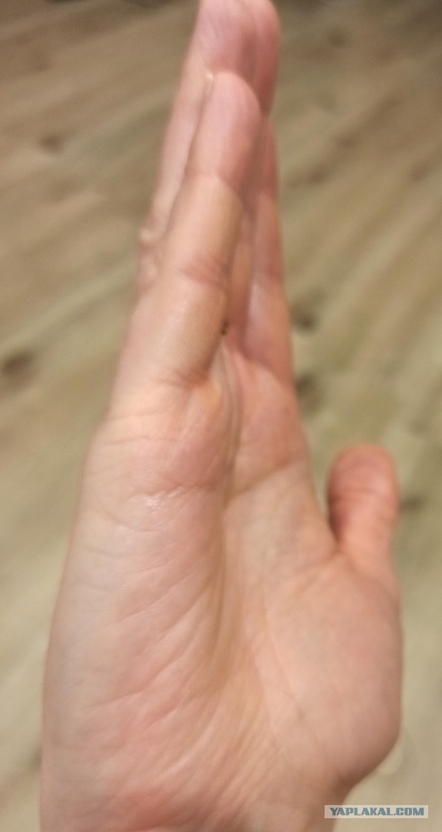 Хиромант