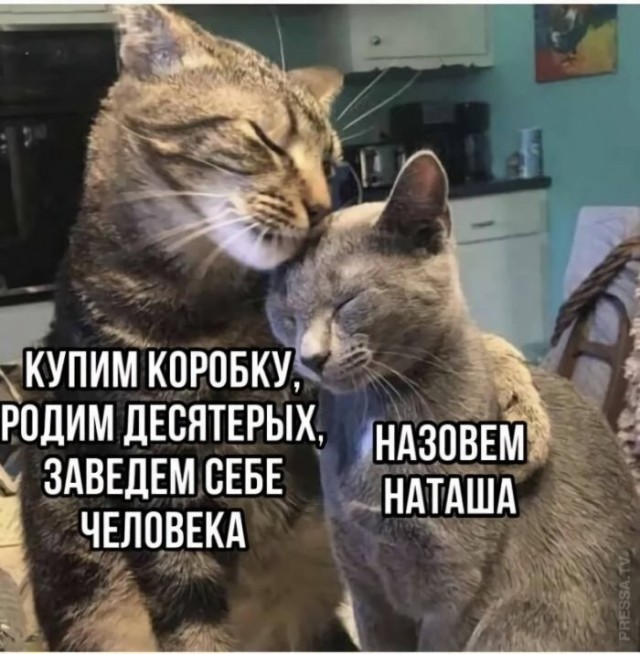 15382046.jpg