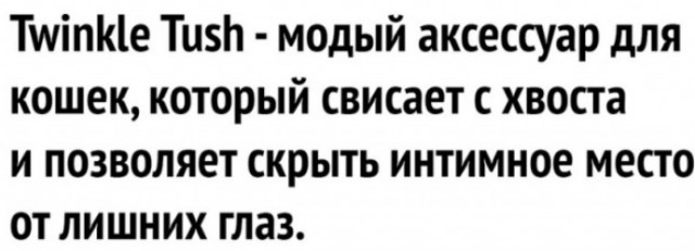 Картинки разные нужны, картинки всякие важны