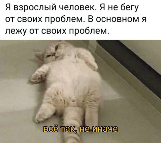 Весёлый полтишок 19.04