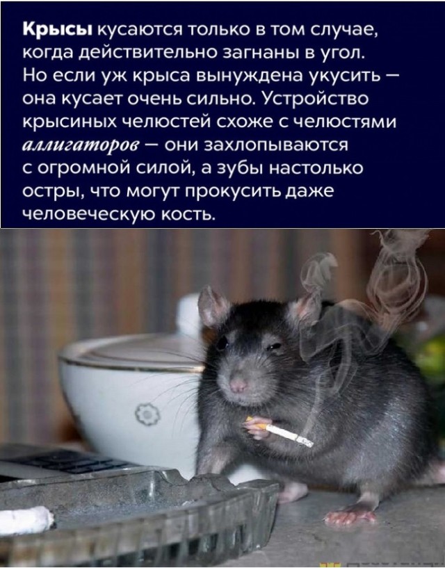 Картинки с надписями и всякие жизненные фразы 16.06.21