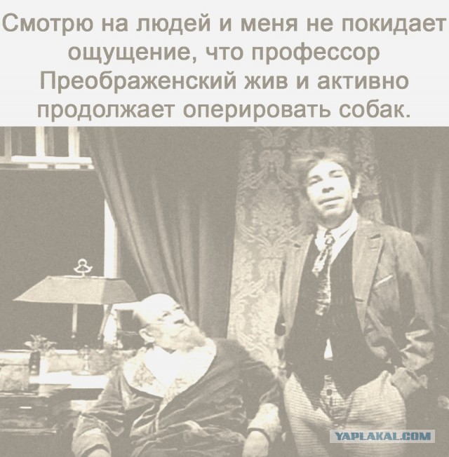Свинегрет: картинки, надписи и прочее на 06,07.202 или №31