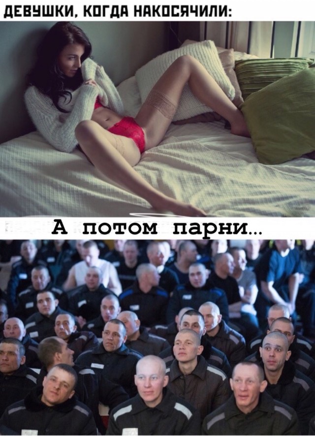 Весёлый полтишок 05.11
