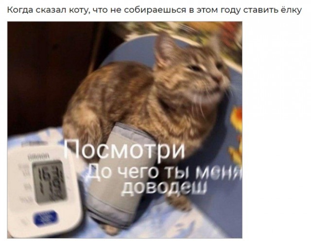 Картинки для поднятия настроения