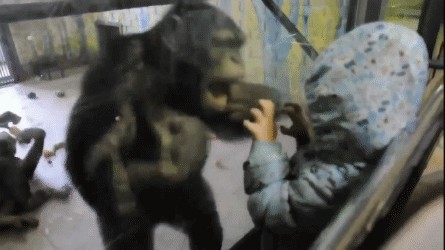 Подеградируем, побаяним...