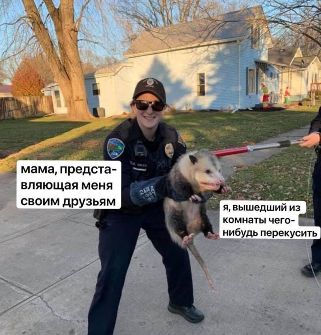 Всякой Хни вам в ленту, дорогие деграданты...