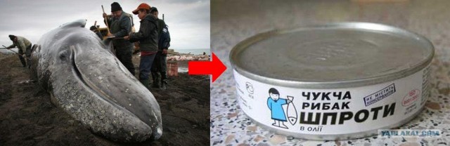 Путешествие на Чукотку.