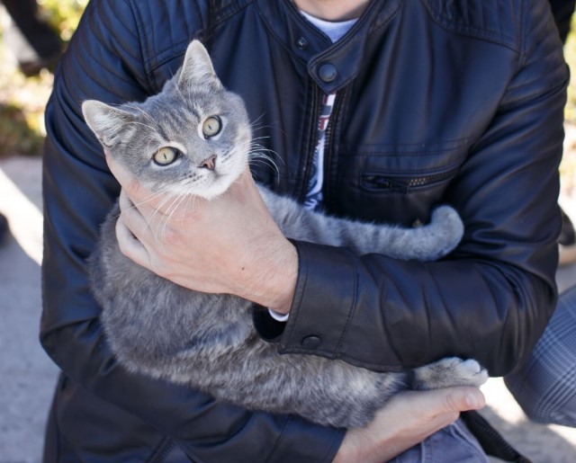 Котовторник вроде.