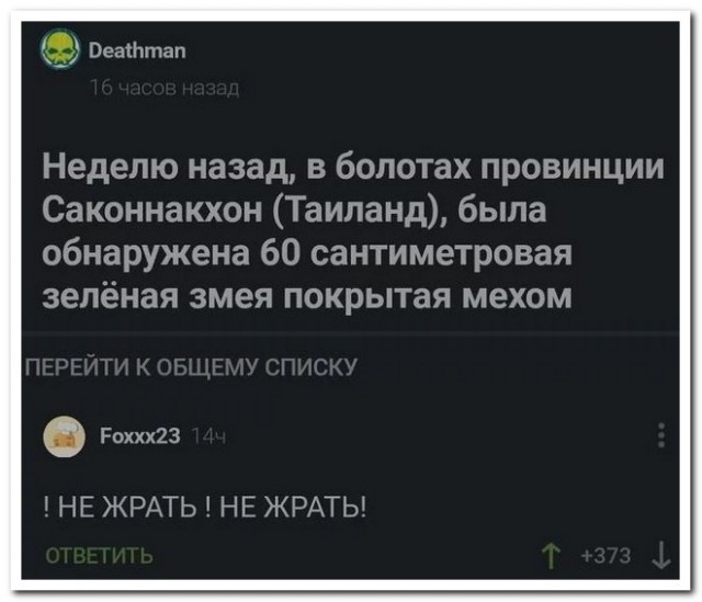 Забавные комментарии из социальных сетей (21.03.22)
