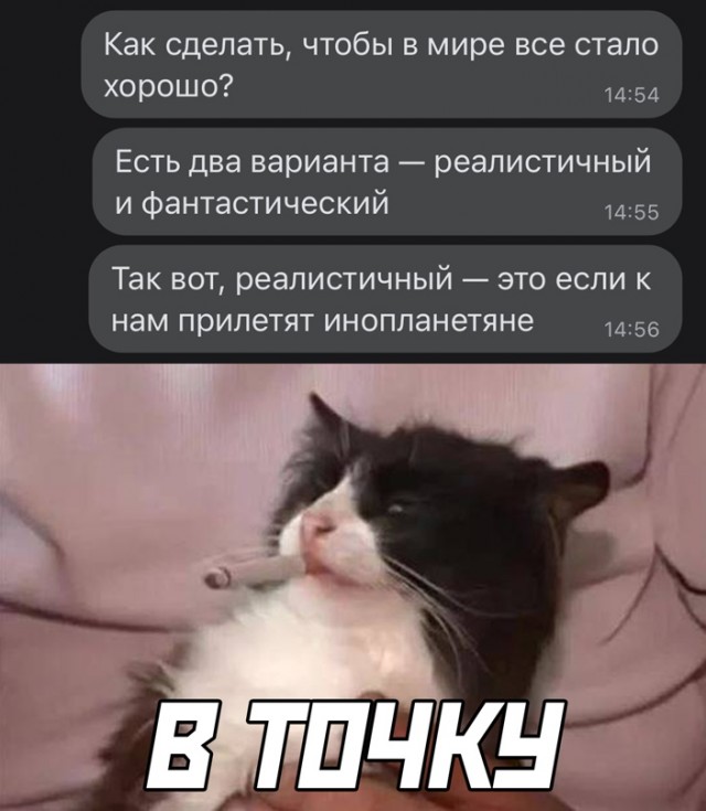 Весёлый полтишок 11.04.22
