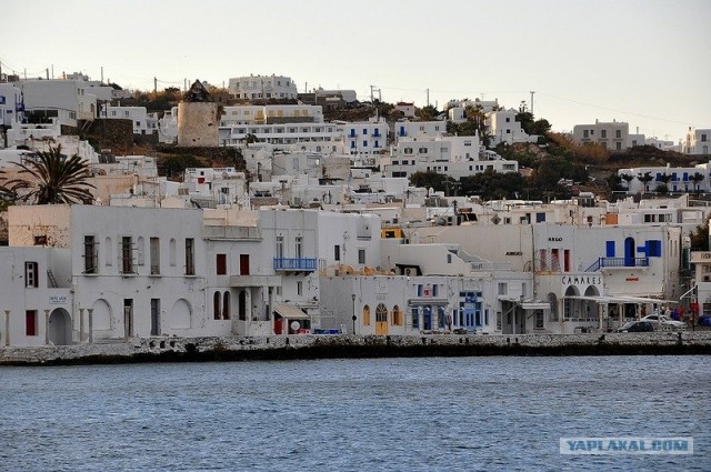 Любовь с первого взгляда