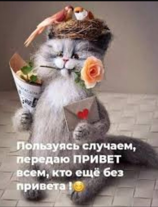 «Мне 29, а я ни разу не целовался». Девственник о своей жизни