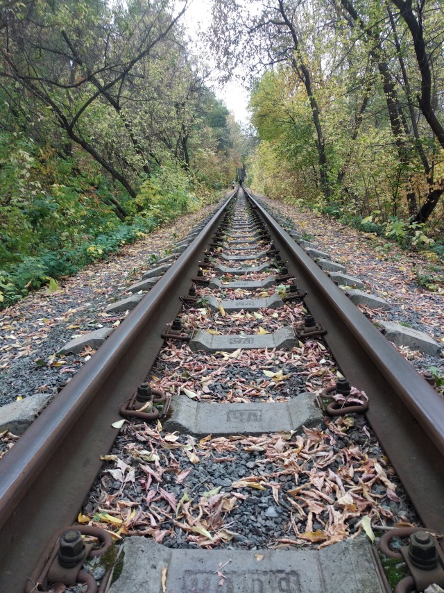 Челябинск Парк Гагарина или Городской Бор. Осень