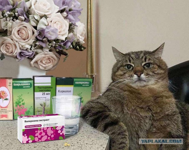 Почему люди не умеют себя вести в поездах?