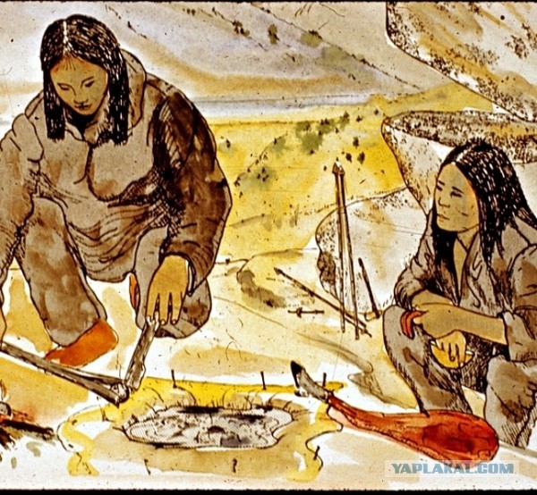 Электрогриль. Мясо. Купаты, и … вообще.  Предлагаю устроить обмен опытом и технологиями.