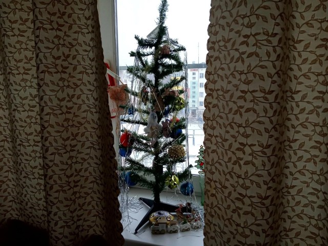 Выкладывайте свои елки!
