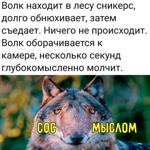Картинки и мемы, всем хороших выходных