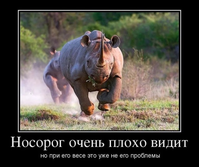 Прикольные и просто красивые картинки 24.03.2023