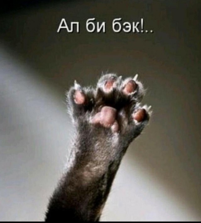 Жека ху..ню не скажет