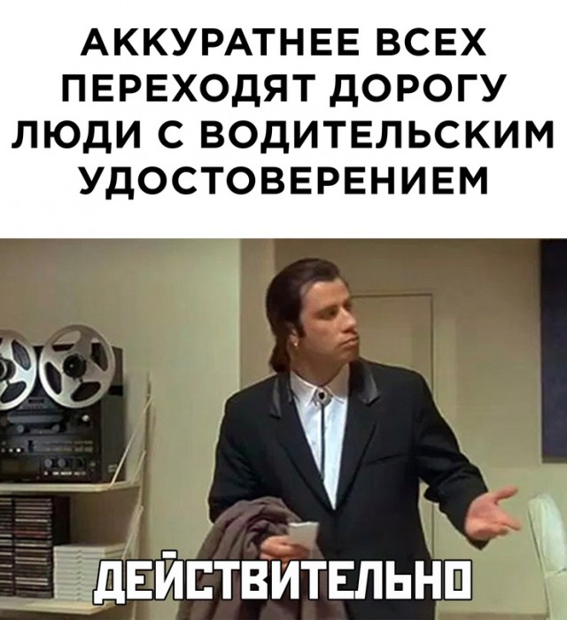 Весёлый полтишок 08.09.23