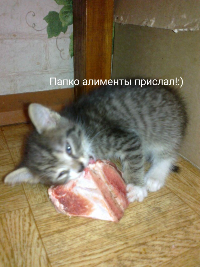 Прошу помощи в знакомстве с женщиной в интернете