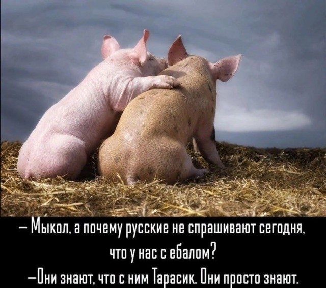 Сенат США заблокировал вынесение законопроекта о помощи Украине на голосование