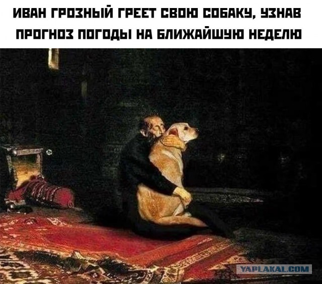 Не много весёлых картинок