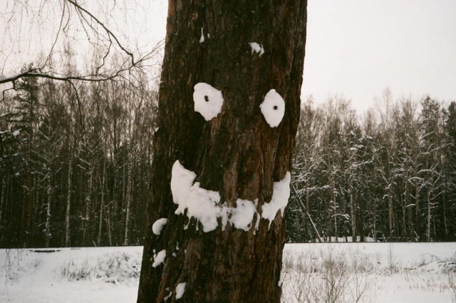 ФотоВинегрет  45  пикч