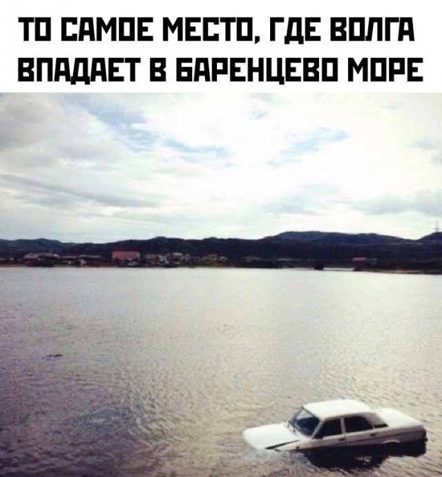 Весёлый полтишок 04.03.24