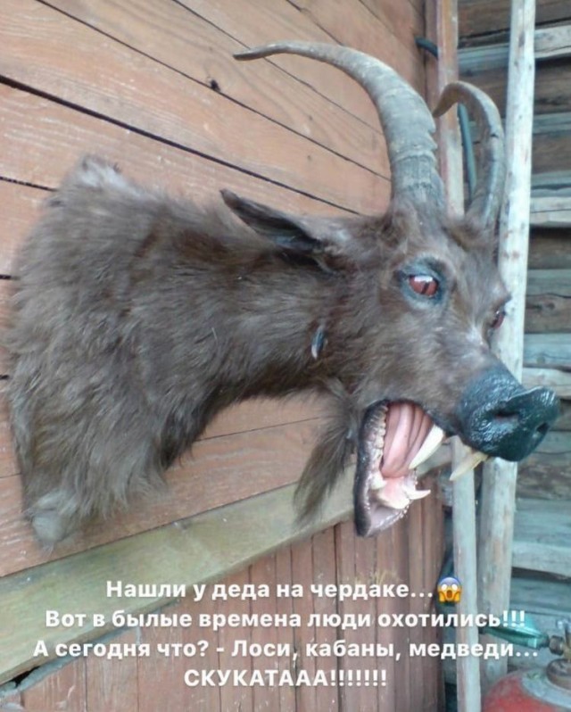 ФотоВинегрет