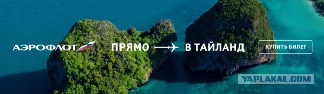 Пермячка из-за технического сбоя купила билеты в Тайланд в 5 раз дешевле