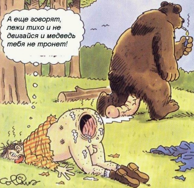 Залез в лесу в ямку, а потом узнал, что это берлога