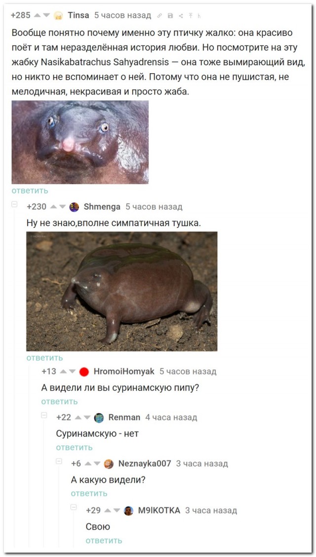 Веселые картинки к четвергу (03.10)