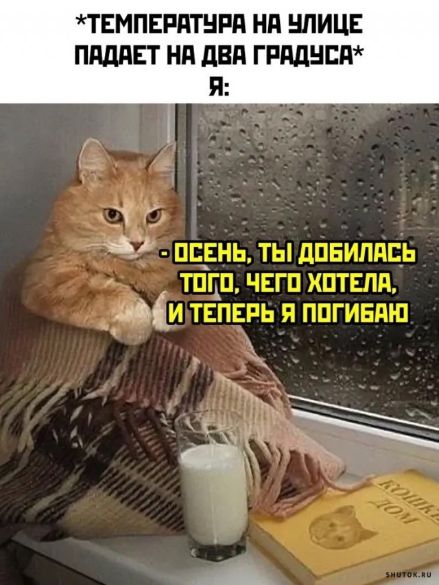 Так себе картинки 15.10.24