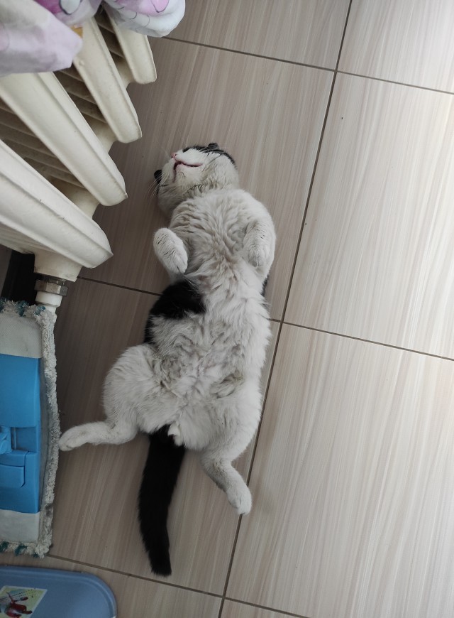 Сама пришла.