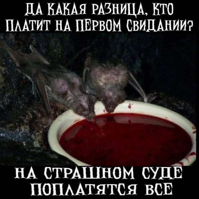 Веселые картинки в маленькую пятницу (21.05)