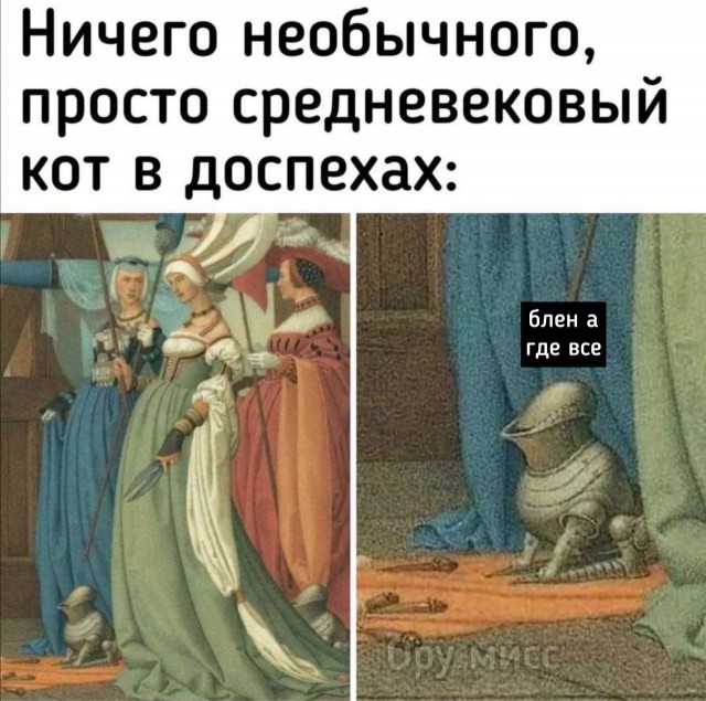 Современный рыцарь