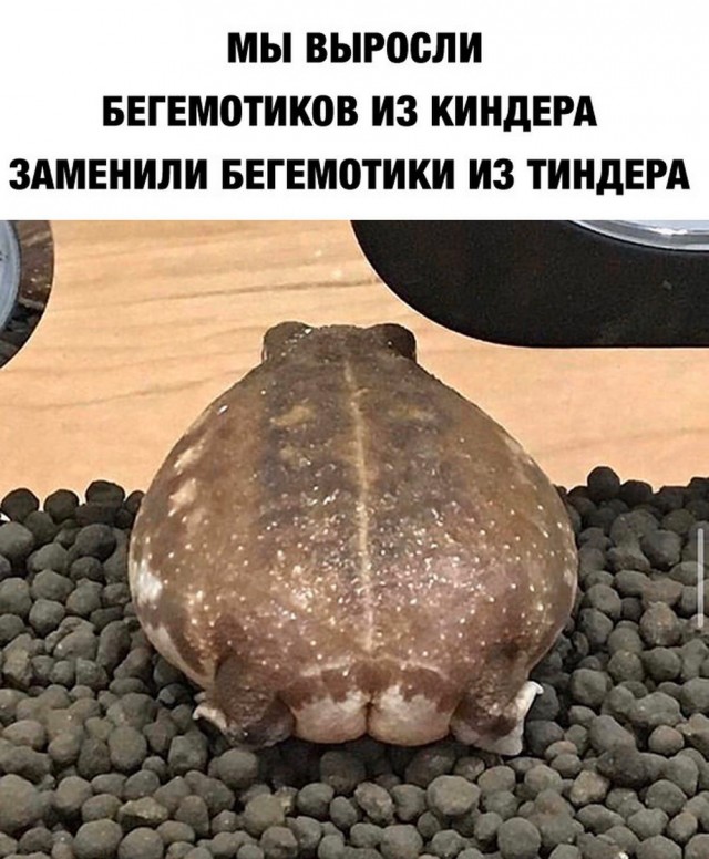 Пятничные тРРРидцать тРРРи!