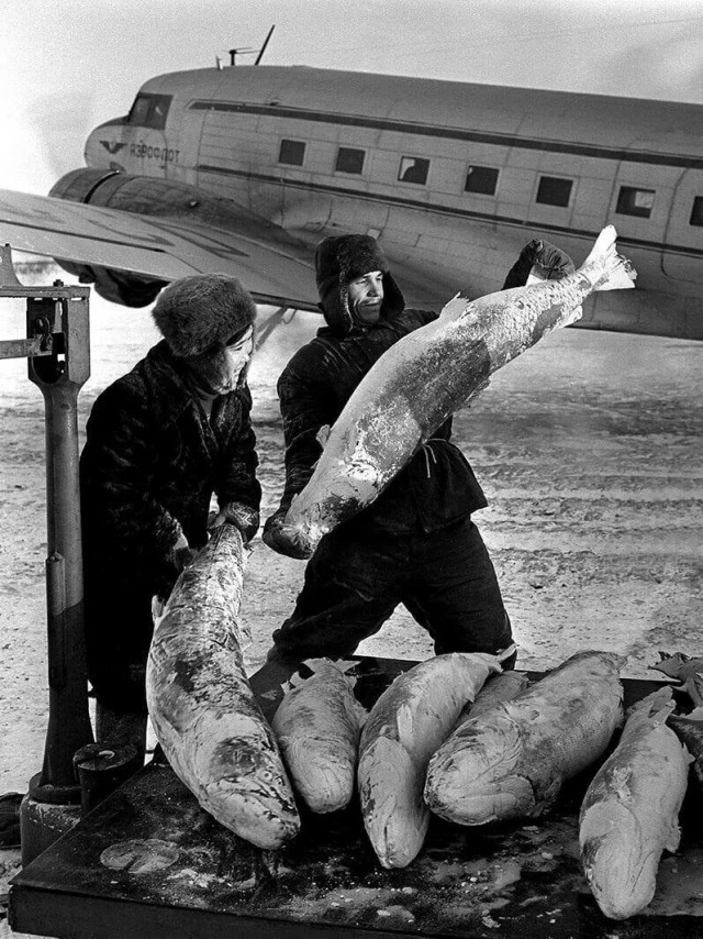 Фотохроника "загнивающего совка". Часть 10