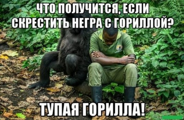 Пора деградировать. Дичь