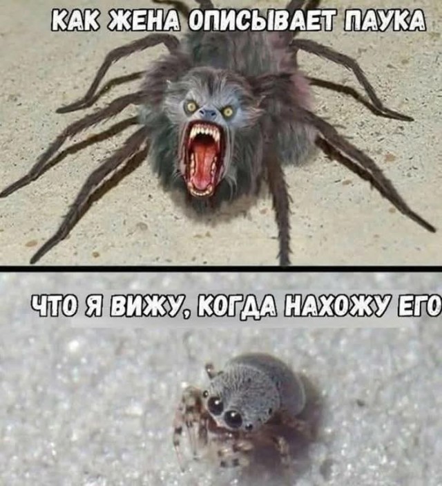 Маленькая пятница 9.07