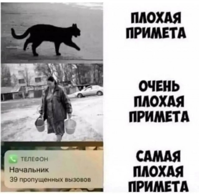 Так себе картинки 10.08.25