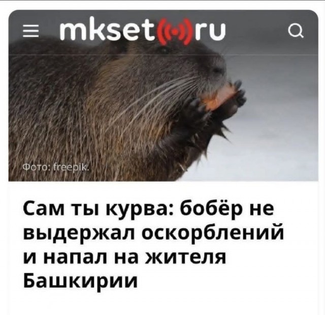 Маленькая пятница 1.10