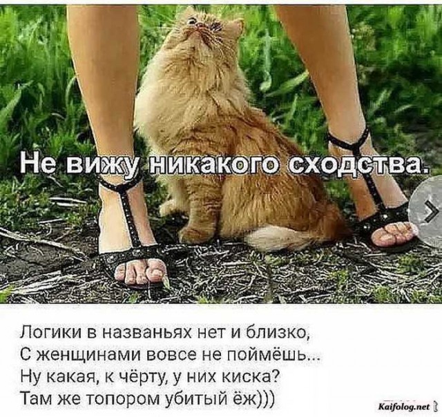 Конкурс: Не рой другому яму