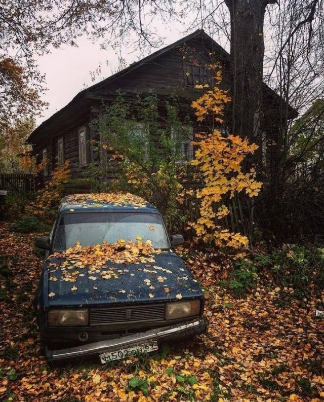 Осенние картинки