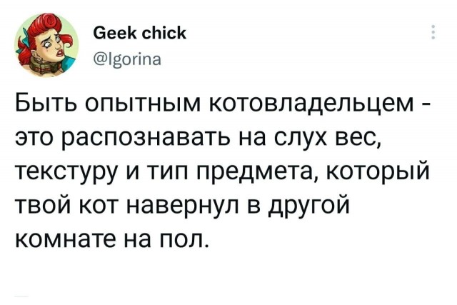 Так себе картинки 16.10.25